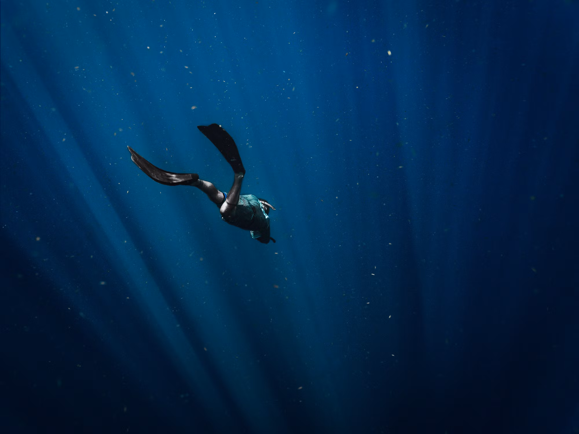 Aquatic Adventures: The Thrilling World of Diving